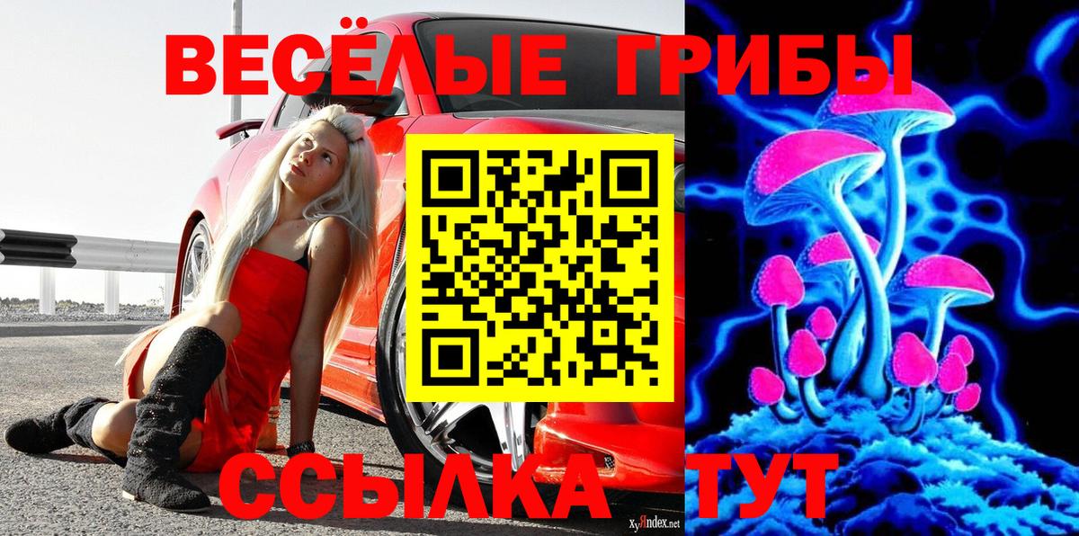 Михайловка  Галлюциногенные грибы Psilocybine cubensis  Вход с VPN 