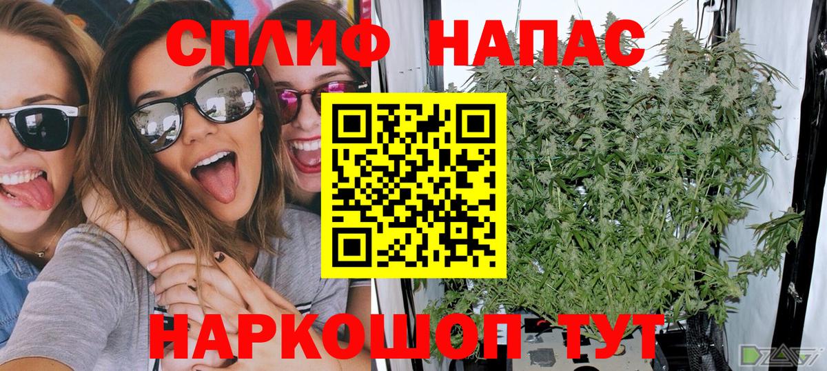 Бошки Шишки MAZAR  Каннабис план  Марихуана сатива  Вход с VPN  Бошки Шишки тримм  Михайловка 